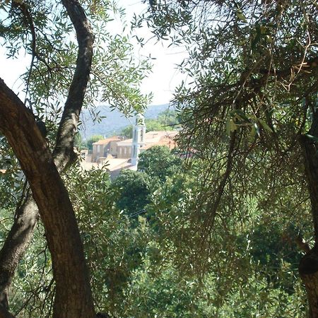 Villa Costa Di Sognu Exterior foto