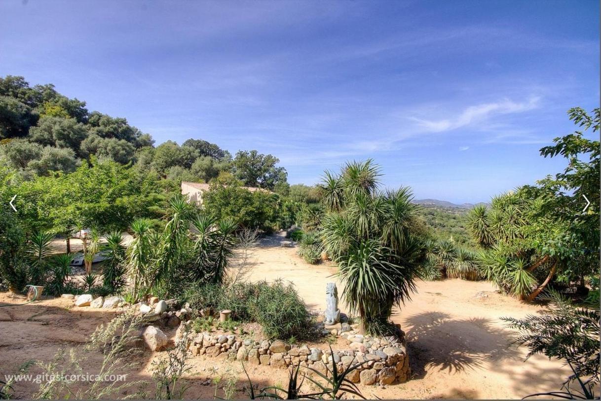 Villa Costa Di Sognu Exterior foto